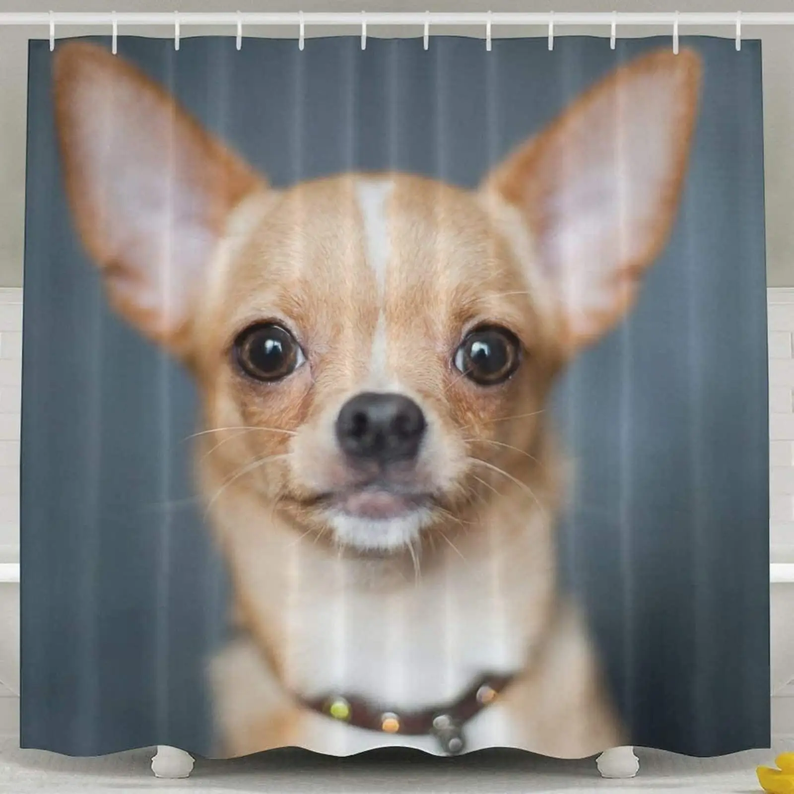 Cortina de chuveiro para cães  - Spa Wellness Com avaliação e preço